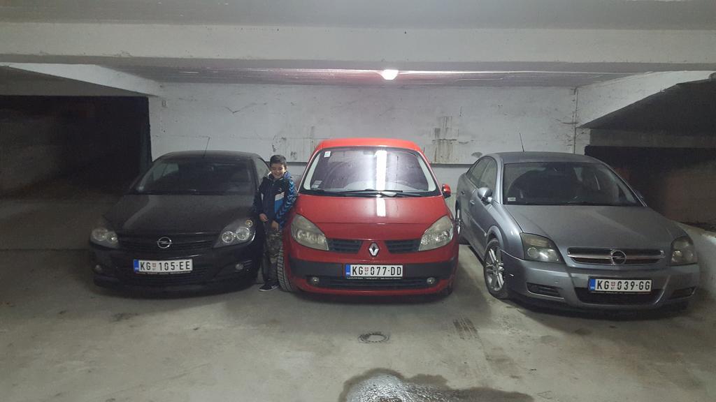 Villa Jelena - Sobe Kragujevac Eksteriør billede